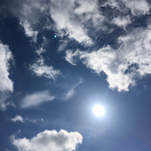 Meet your Posher, Tracy - Picture 1 of 1